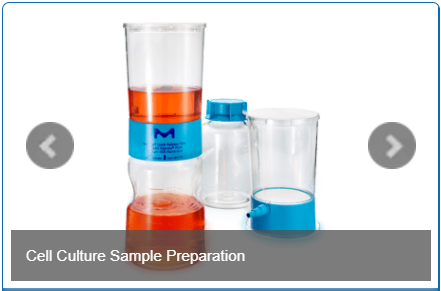 cell culture sample preparation